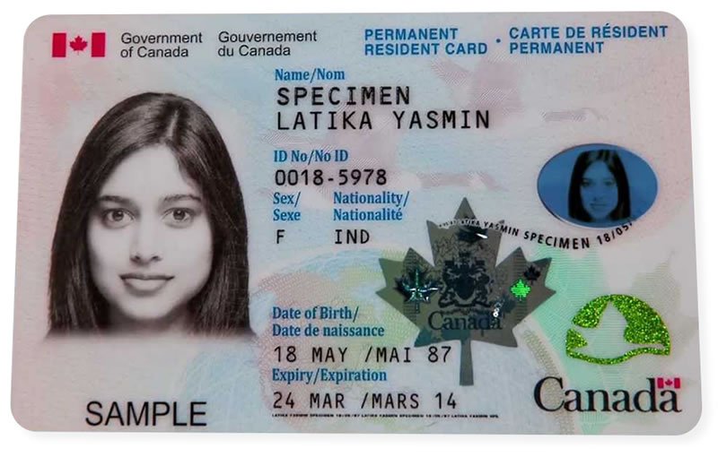 Buy Canadian ID Cards